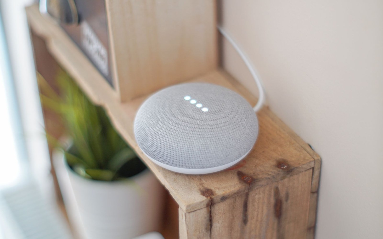 A smart speaker with glowing dots sits on a wooden shelf near a potted plant