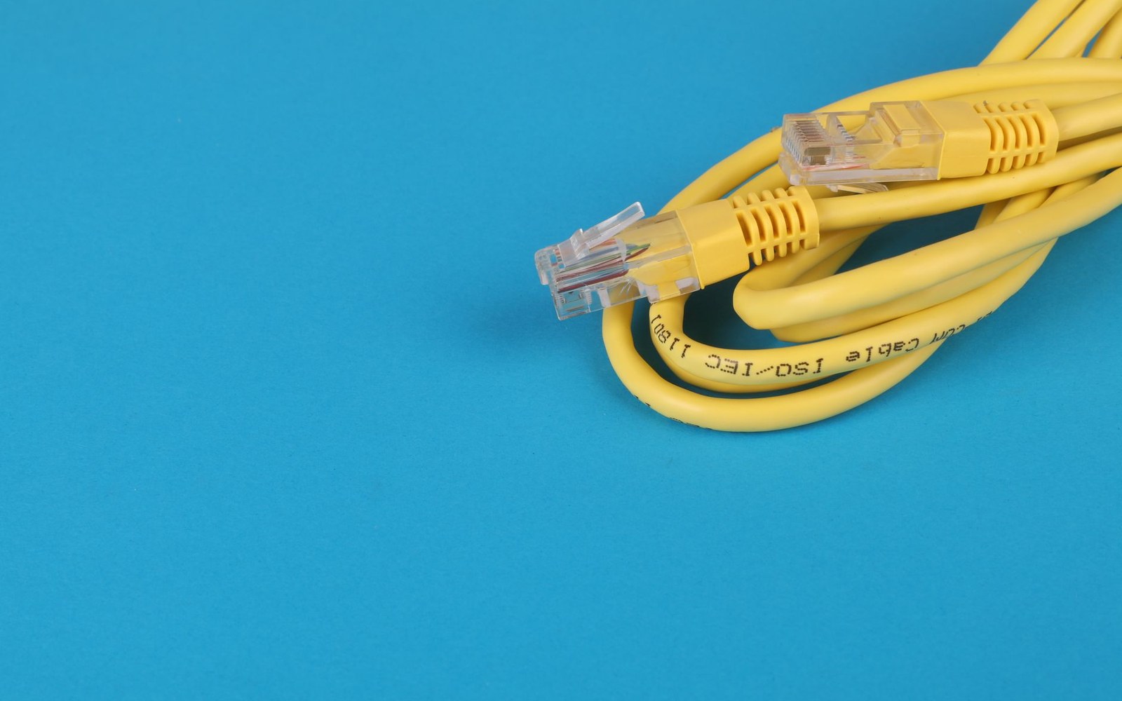 Yellow ethernet cables with rj45 connectors coiled against a bright blue background